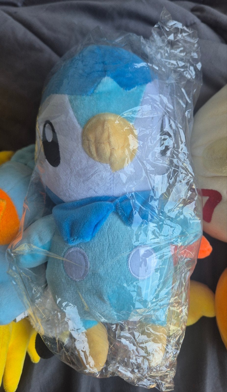Peluche Tiplouf pokemon, Enlèvement