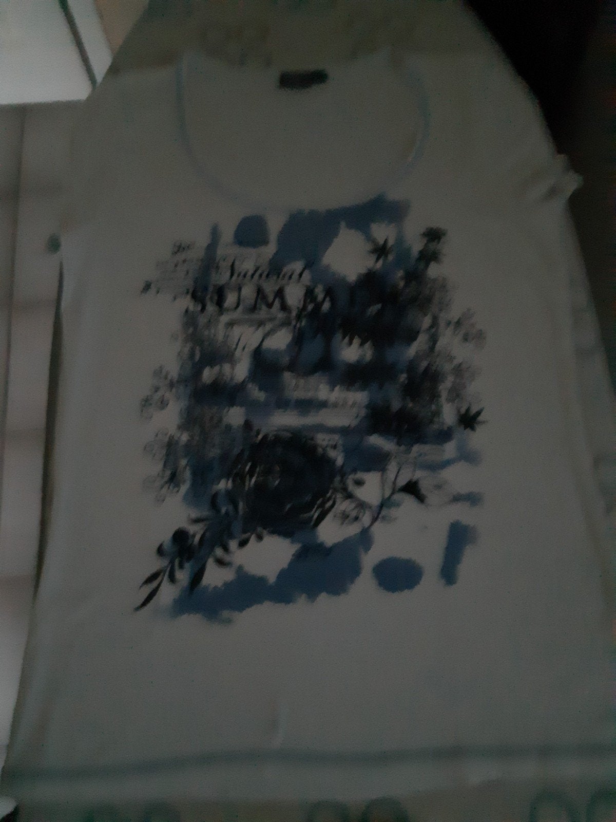 1 T-shirt wit met blauwe opdruk.(zie foto's)maat 38., Kleding | Dames, Maat 38/40 (M), Wit, Ophalen of Verzenden, Korte mouw