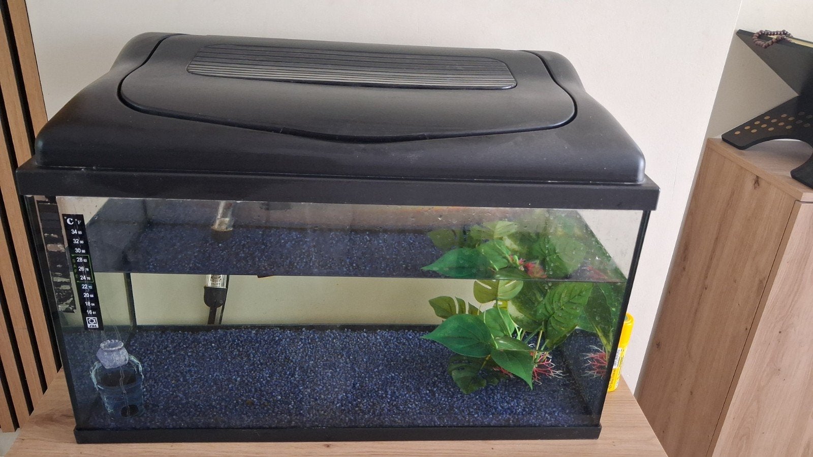 aquarium, Animaux & Accessoires, Enlèvement