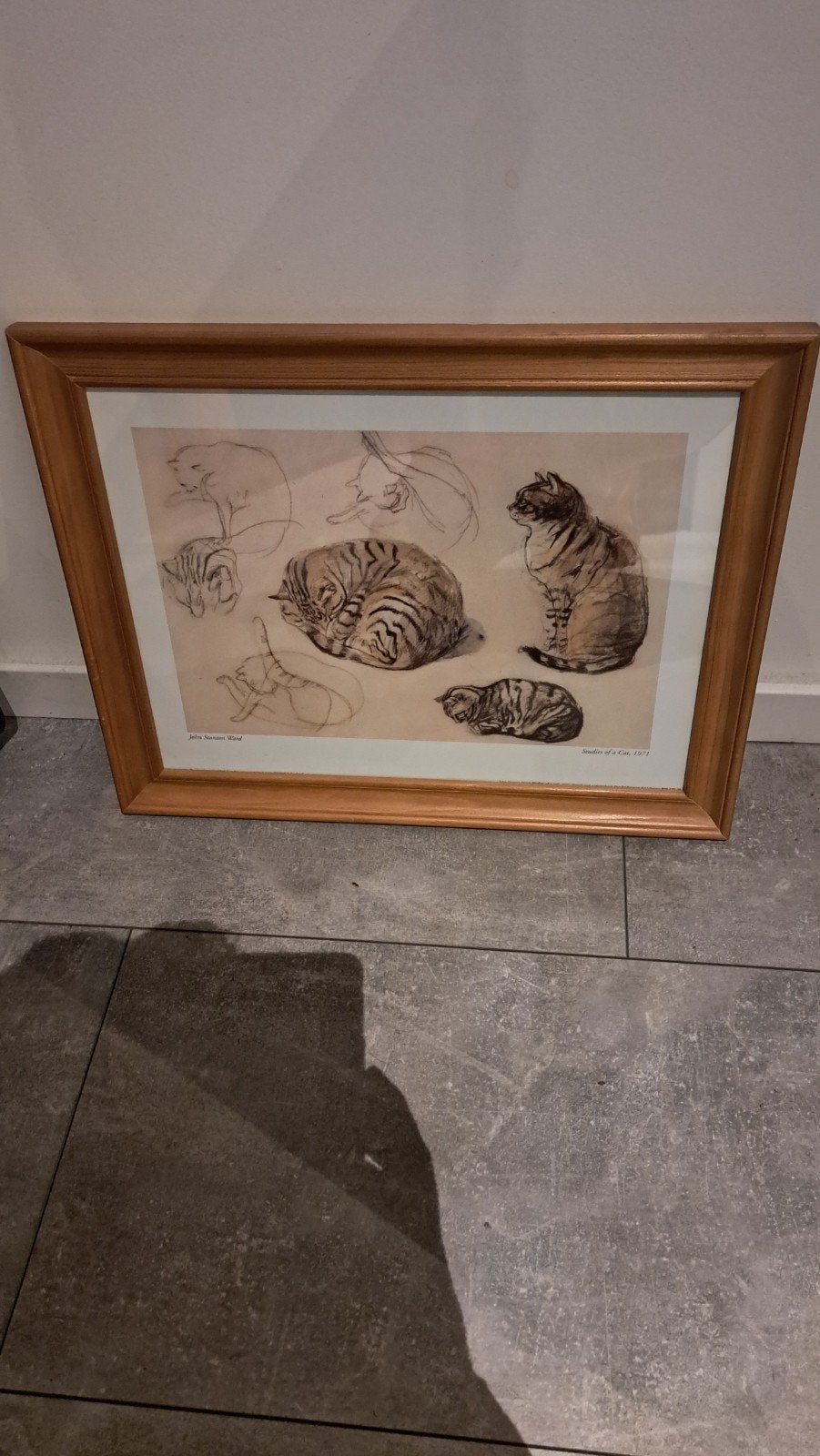 Vintage Art Print Studies of a Cat 1971 John Stanton Ward UK, Antiquités & Art, Enlèvement ou Envoi