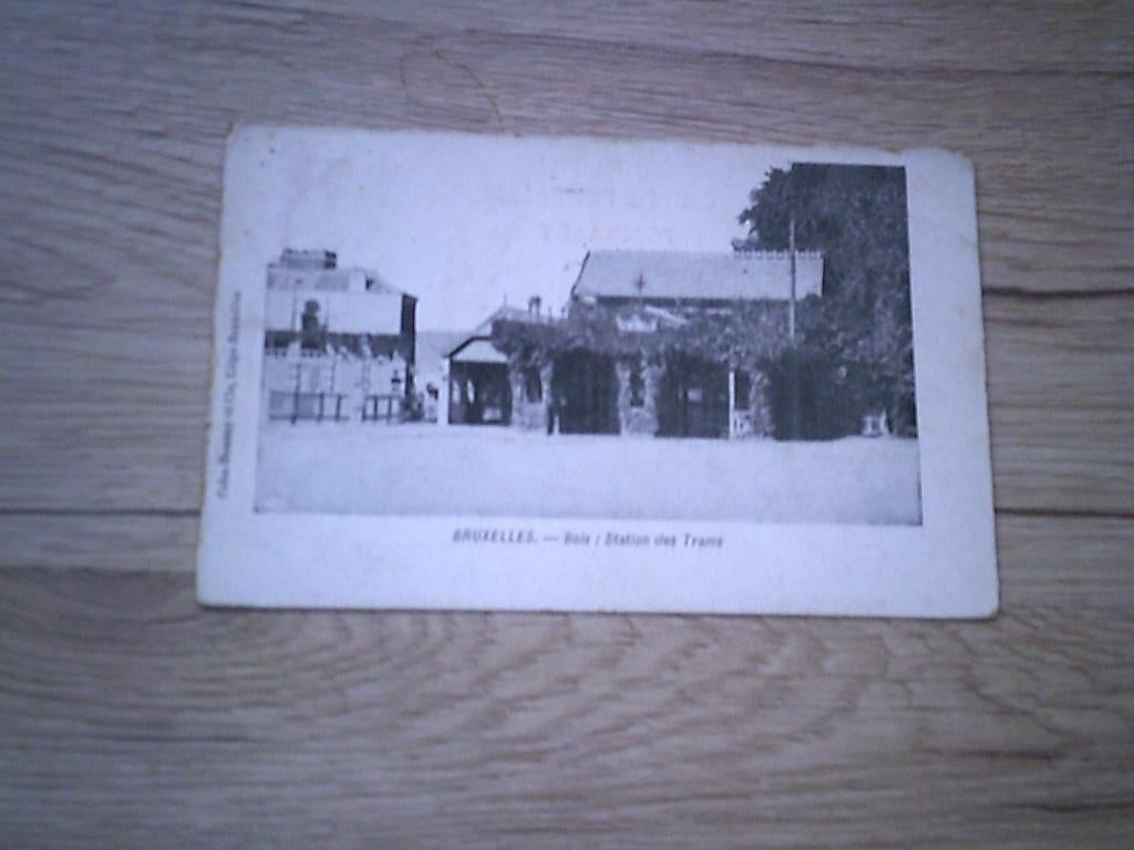 BRUSSEL - BRUXELLES: Bois - Station des trams, Collections, Enlèvement ou Envoi, Avant 1920, Affranchie, Bruxelles (Capitale)
