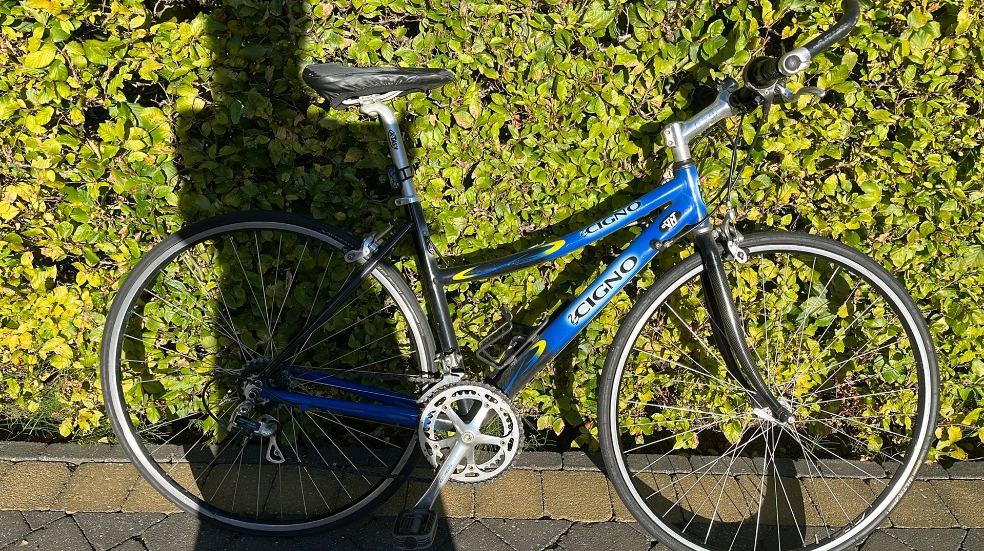 Lichte fiets ideaal als kotfiets, Fietsen en Brommers, Ophalen, Gebruikt, Minder dan 10 versnellingen, Dames