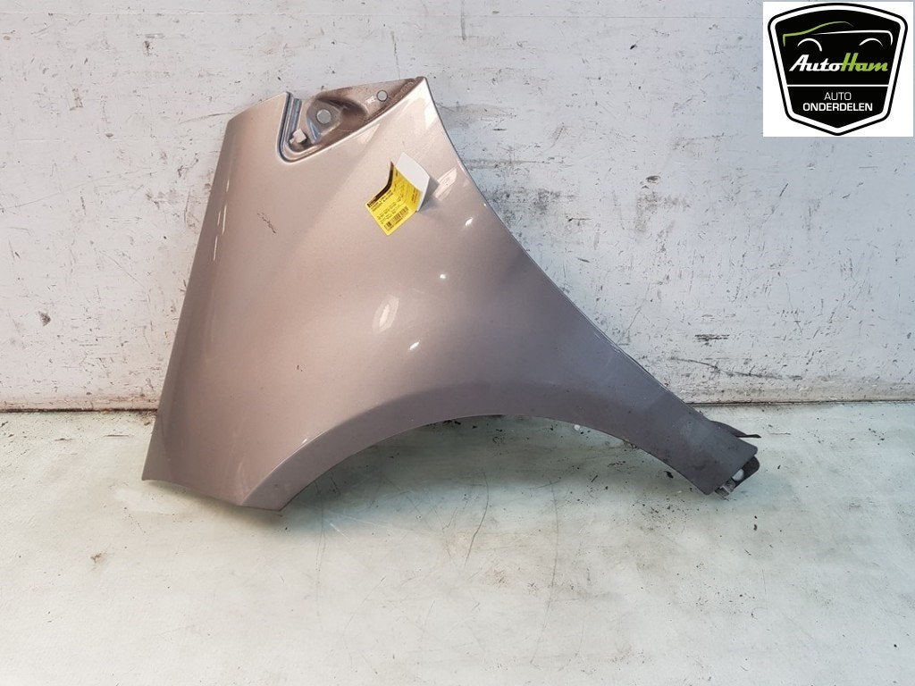 SPATBORD LINKS VOOR Mercedes-Benz A (W169) (|A1698810101|), Gebruikt, Voor, Mercedes-Benz, Spatbord