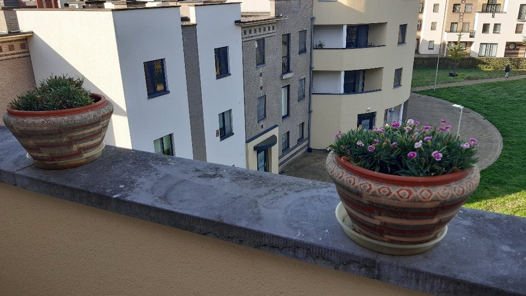 2 Terracotta bloempotten en 1 betonnen pot, alledrie gevuld!, Ophalen, Terracotta, Balkon