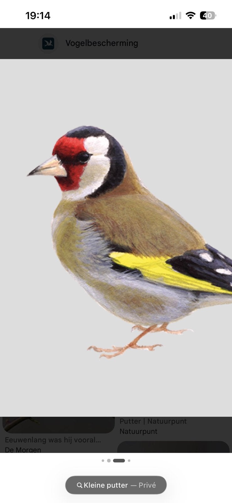 Distelvink koppel, Dieren en Toebehoren