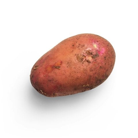 Alouette Aardappelen te koop, Enlèvement ou Envoi
