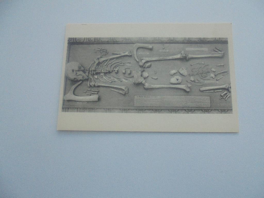 brussel historisch  museum -geraamte, Verzenden, 1940 tot 1960, Ongelopen