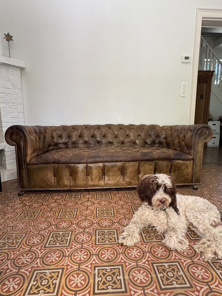Prachtige vintage Chesterfield bank, 200 à 250 cm, Industrieel/vintage, Banc droit, Enlèvement