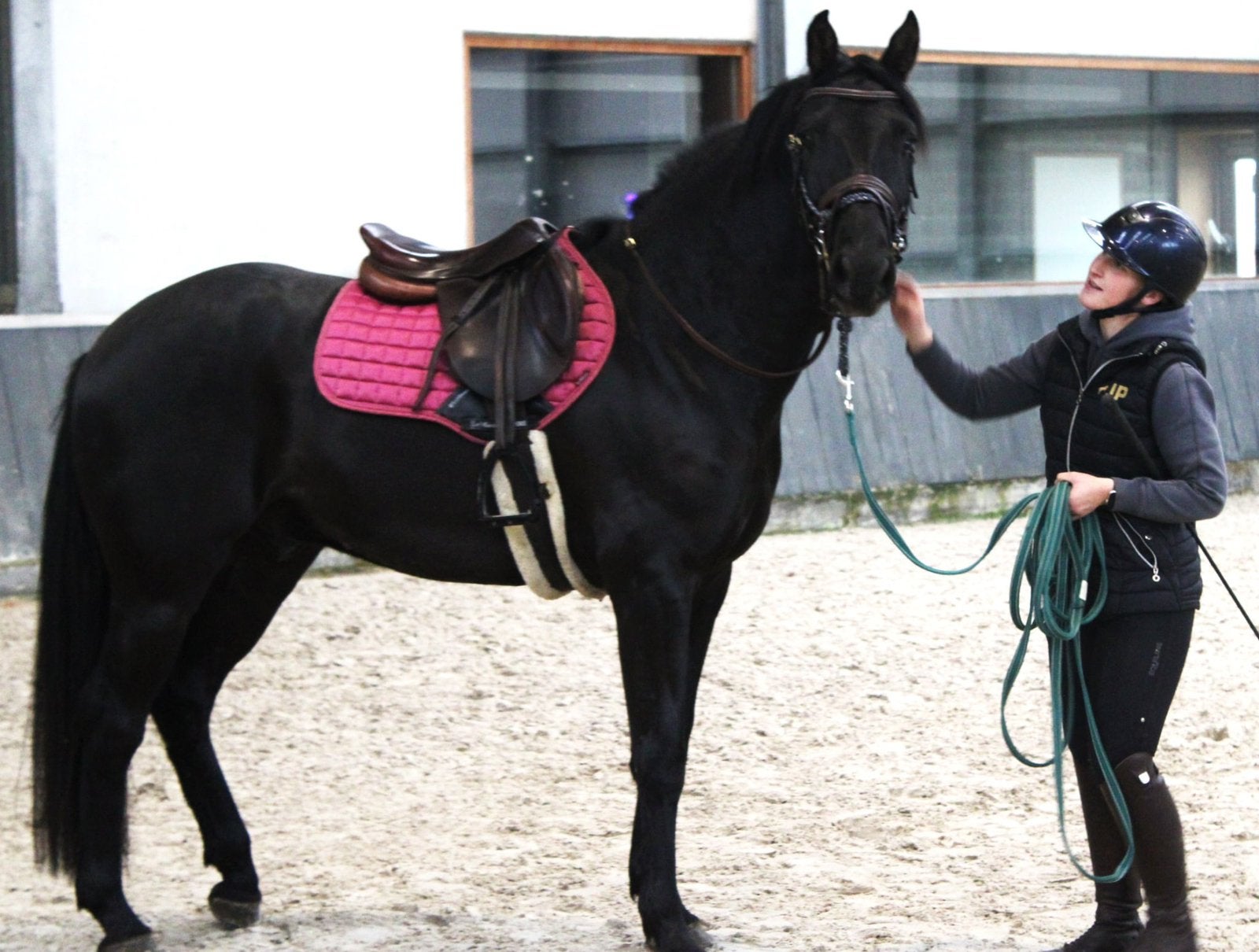 4 jarige spring ruin, Dieren en Toebehoren, Paarden, Springpaard, Ruin, 3 tot 6 jaar, 160 tot 165 cm