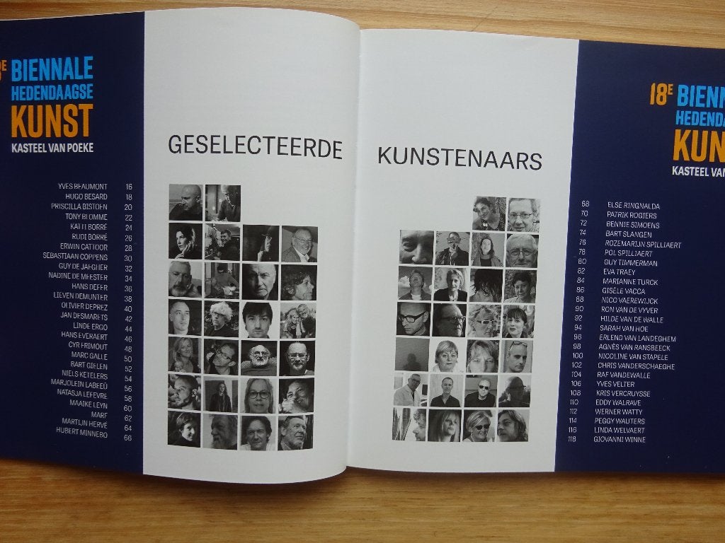 18e biënnale hedendaagse kunst, Rotary Aalter 2017, Ophalen of Verzenden, Zo goed als nieuw, Schilder- en Tekenkunst
