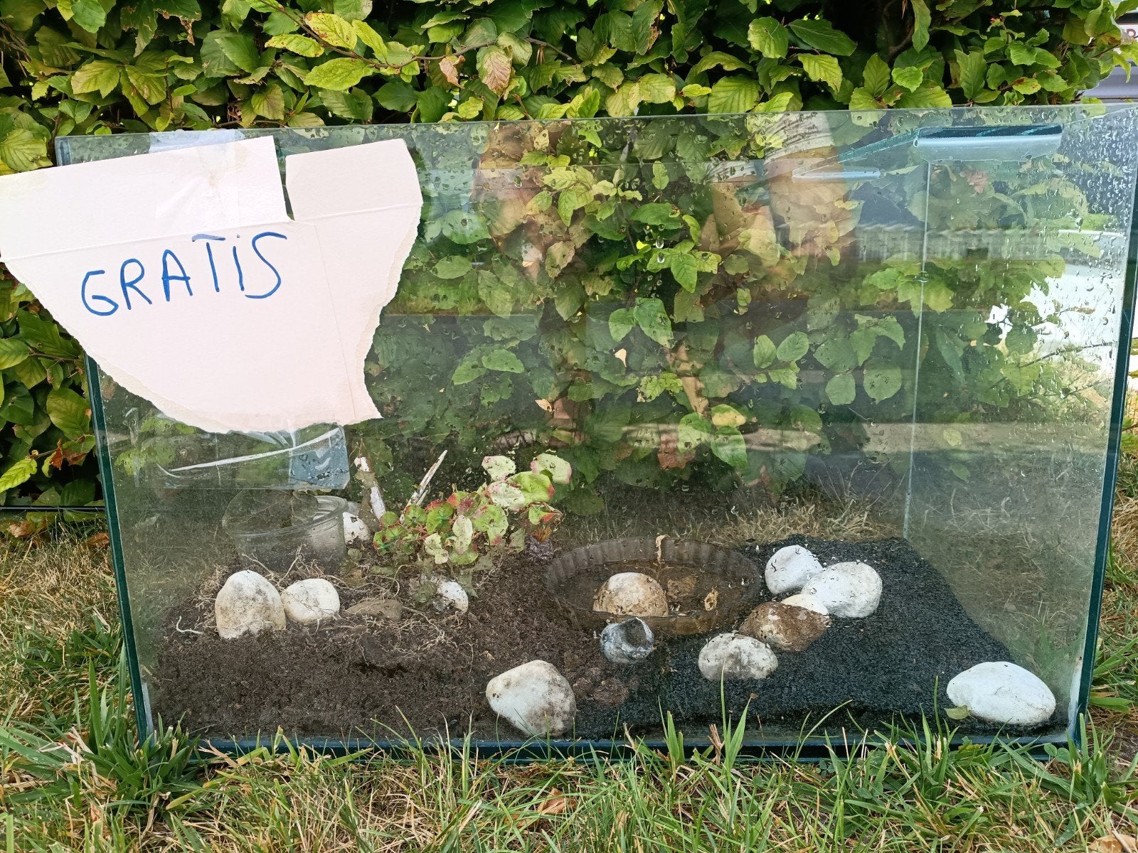 Terrarium/vivarium/aquarium gratis, Enlèvement