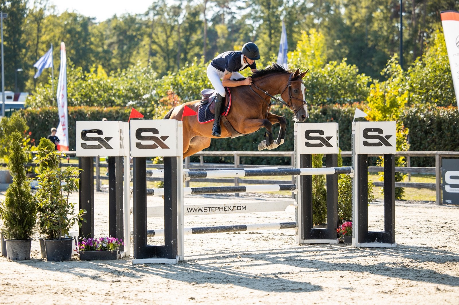 Ruiter zoekt paard, Dieren en Toebehoren, Paarden, Zadelmak