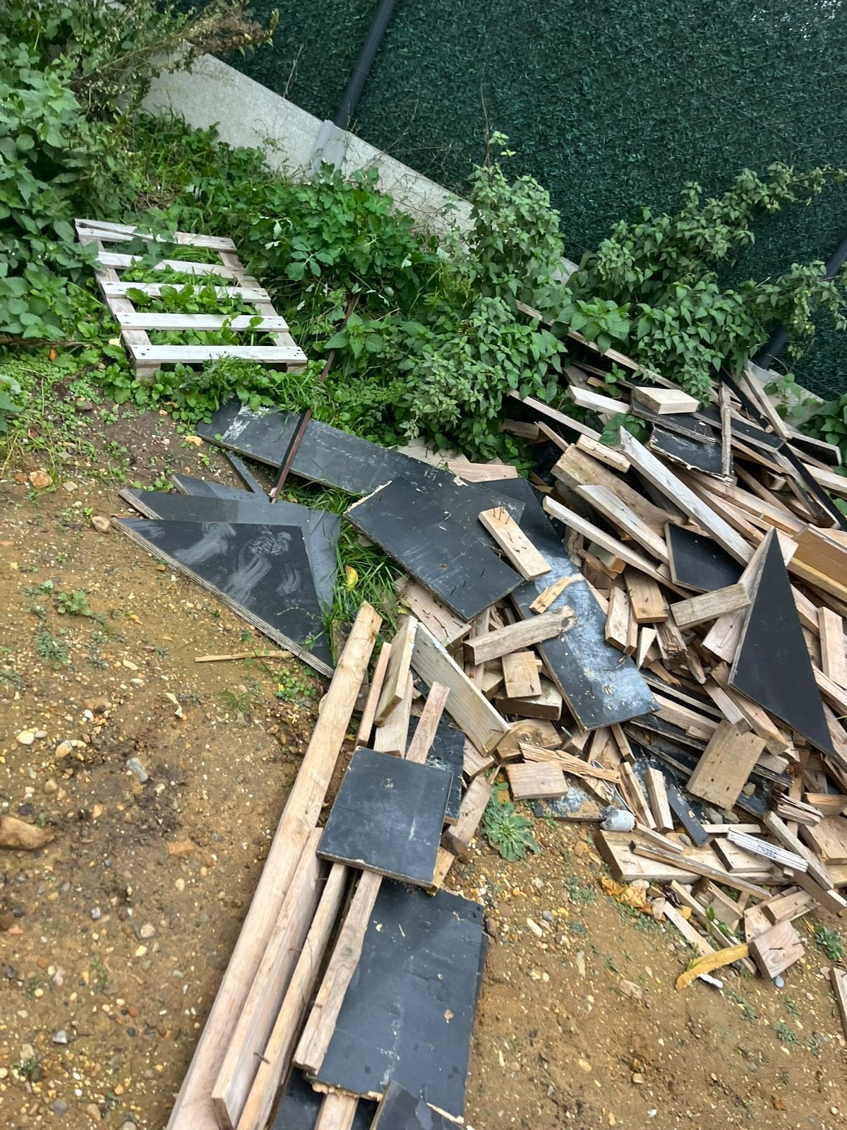 Gratis brandhout, Tuin en Terras, Ophalen