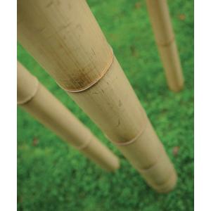 ZEER DIKKE BAMBOESTOKKEN 2 M 10 à 12 cm, Ophalen of Verzenden, Nieuw