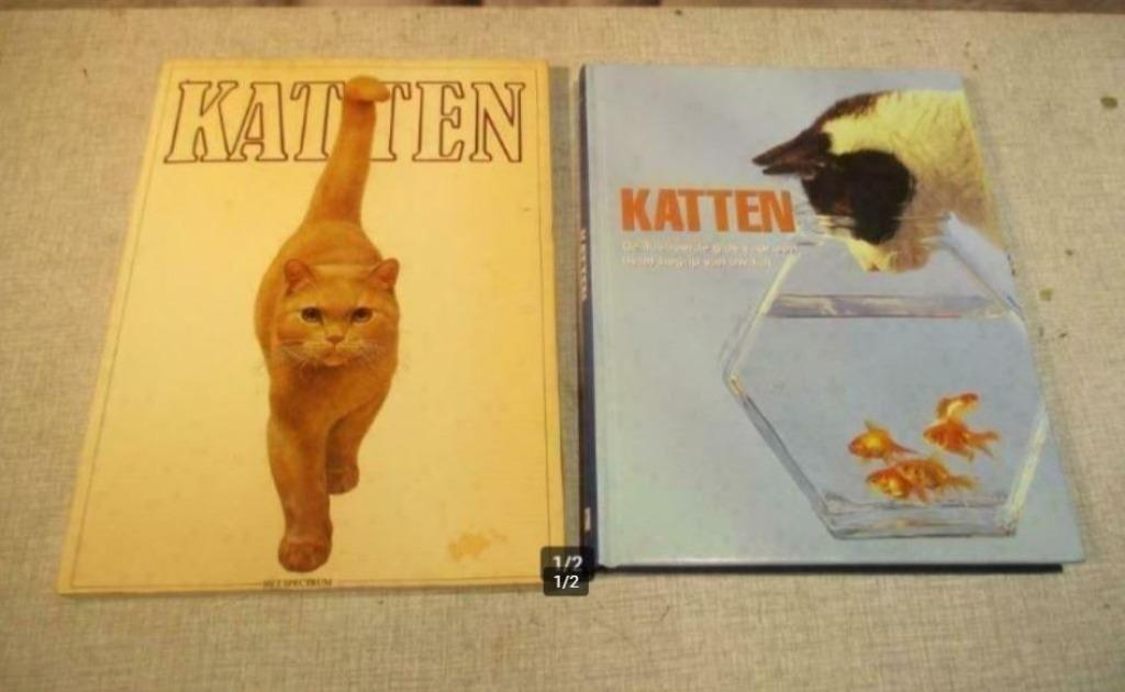 2 excellents livres sur les chats, Enlèvement ou Envoi, Comme neuf, Chats