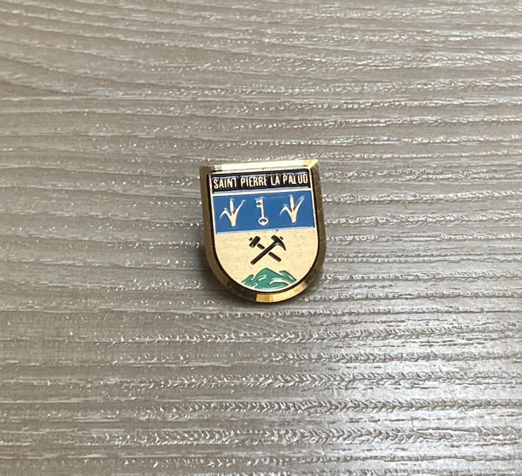 PIN - SAINT-PIERRE-LA-PALUD - FRANCE - FRANKRIJK, Envoi, Utilisé, Ville ou Campagne, Insigne ou Pin's