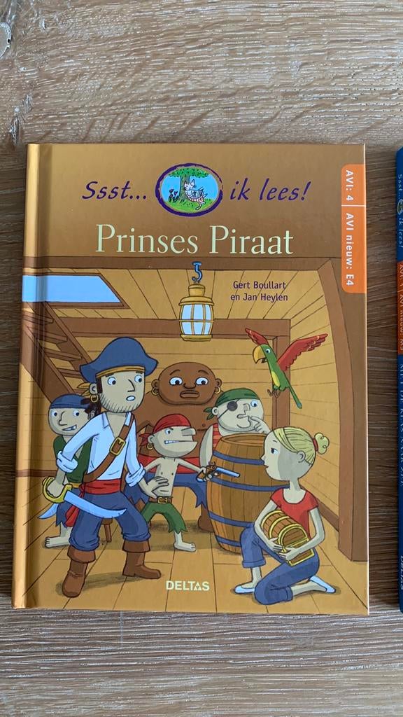 Jan Heylen - Prinses piraat, Fictie algemeen, Ophalen of Verzenden, Jan Heylen; Gert Boullart, Nieuw