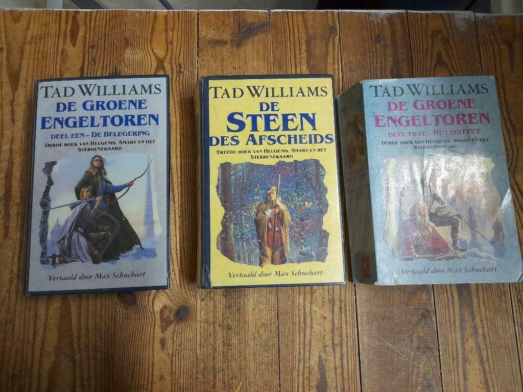 Boeken Heugenis,  smart en het sterrenzwaard - Tad Williams, Ophalen of Verzenden