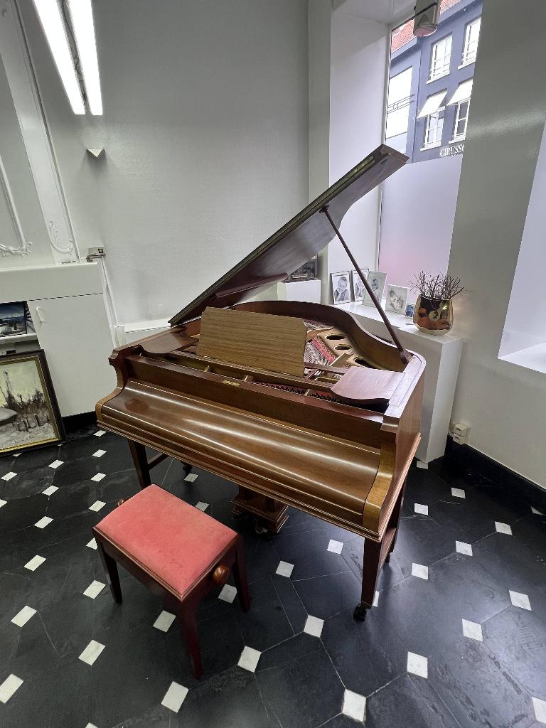 Piano (piano à queue), Enlèvement, Utilisé, Brun, Piano