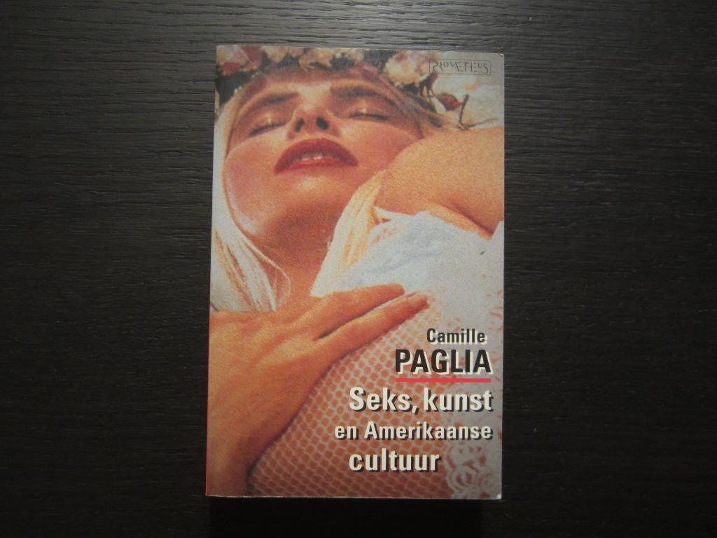 Seks, kunst en Amerikaanse cultuur  -Camille Paglia-, Boeken, Politiek en Maatschappij, Ophalen of Verzenden