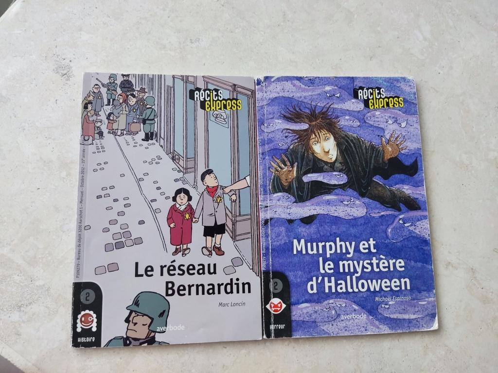 ROMANS pt recis enfant, Livres, Enlèvement ou Envoi, Comme neuf