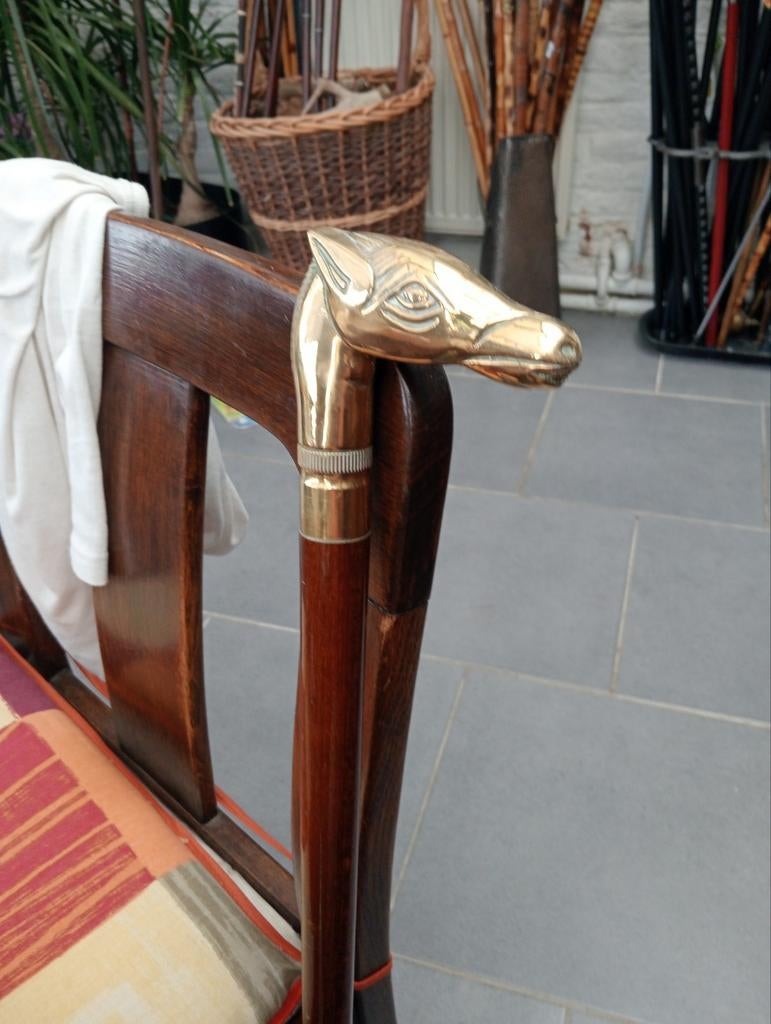 Canne cheval