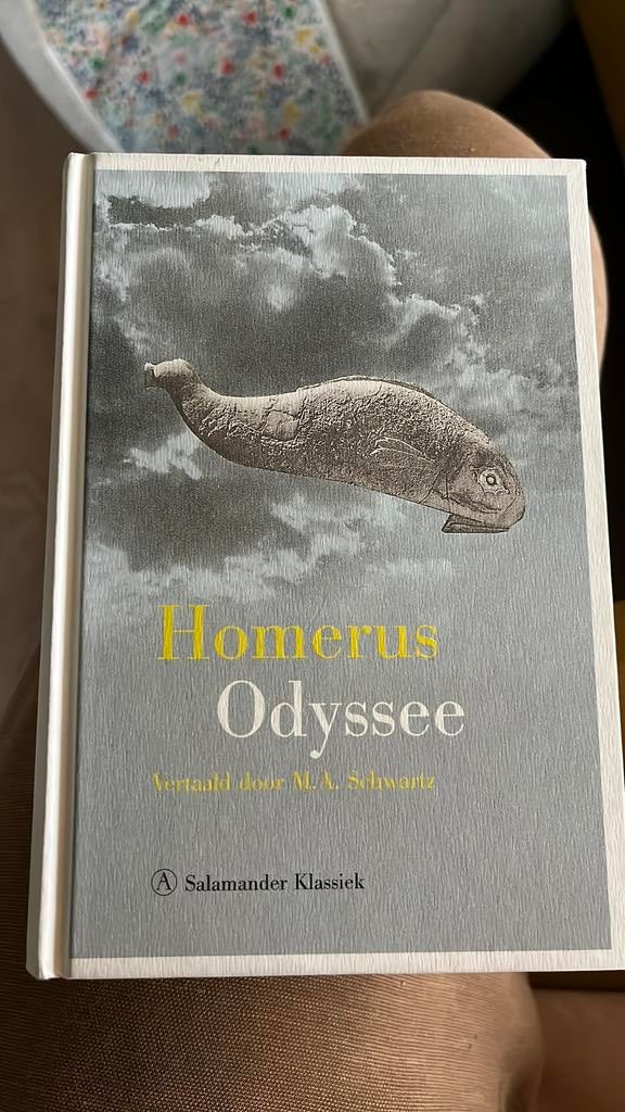 Homerus - Odyssee, Boeken, Ophalen of Verzenden, Homerus