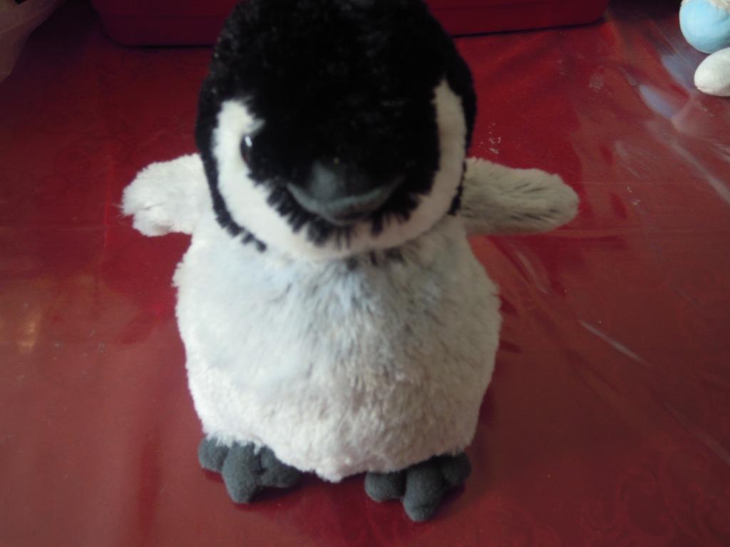 knuffel eend kuiken wild republic( doos 101), Enlèvement ou Envoi, Neuf, Canard