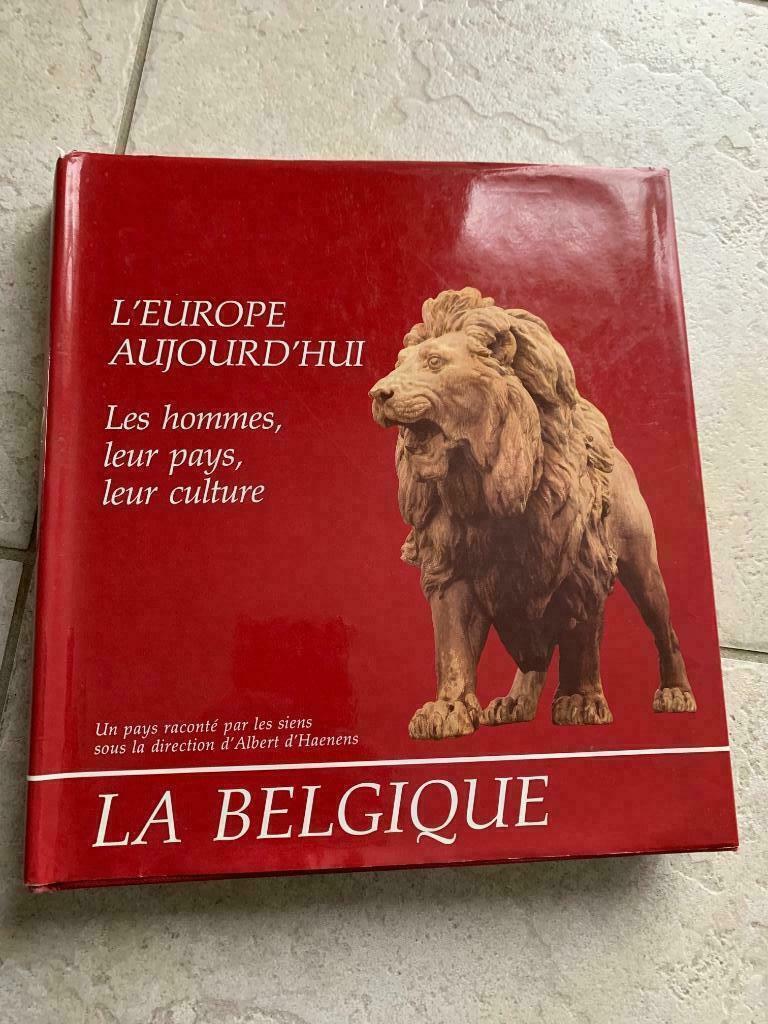 livre La Belgique - L'Europe aujourd'hui, les hommes, leurs, Enlèvement ou Envoi, 19e siècle, Albert d'HAENENS, Utilisé