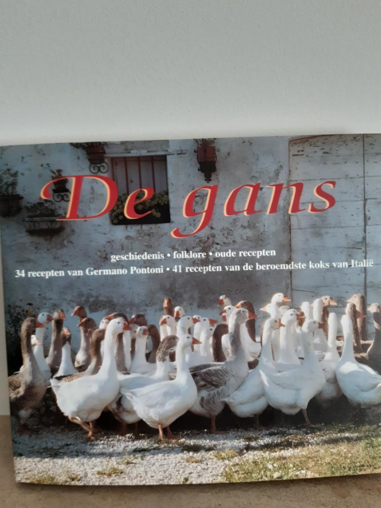 Kookboek met Italiaanse  recepten, Italië, Ophalen of Verzenden, Könenman, Hoofdgerechten