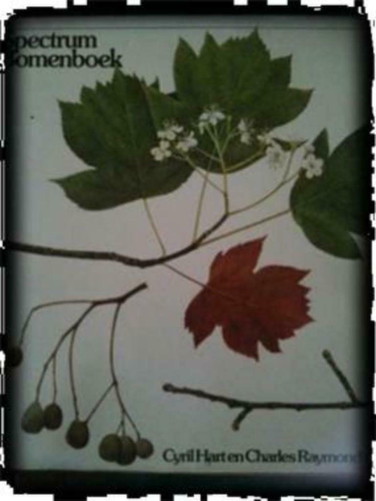 Spectrum bomenboek, Cyril Hart en Charles Raymond, Ophalen of Verzenden, Gelezen, Bloemen, Planten en Bomen