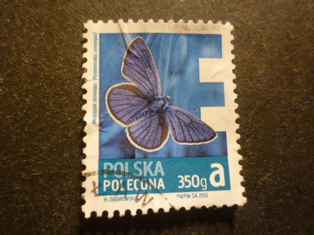 Polen/Pologne 2013 Mi 4627(o) Gestempeld/Oblitéré, Enlèvement ou Envoi, Pologne