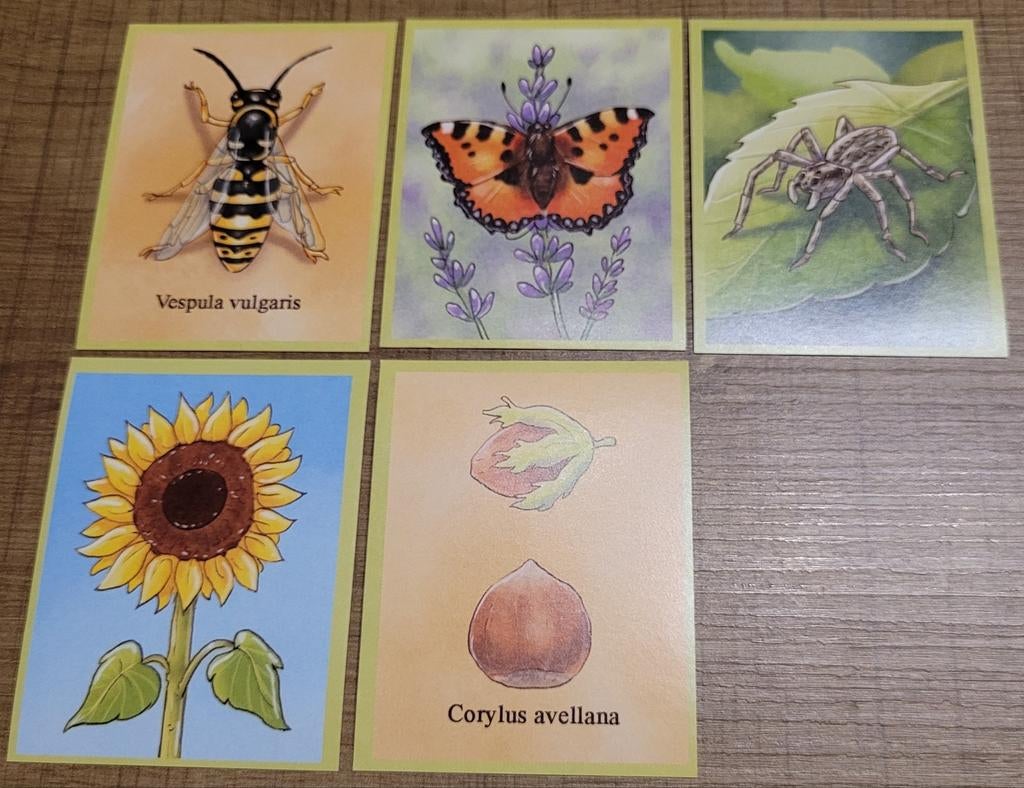 5 verzamelstickers over de natuur (Boeboeks reeks), Ophalen of Verzenden, Zo goed als nieuw, Dier en Natuur