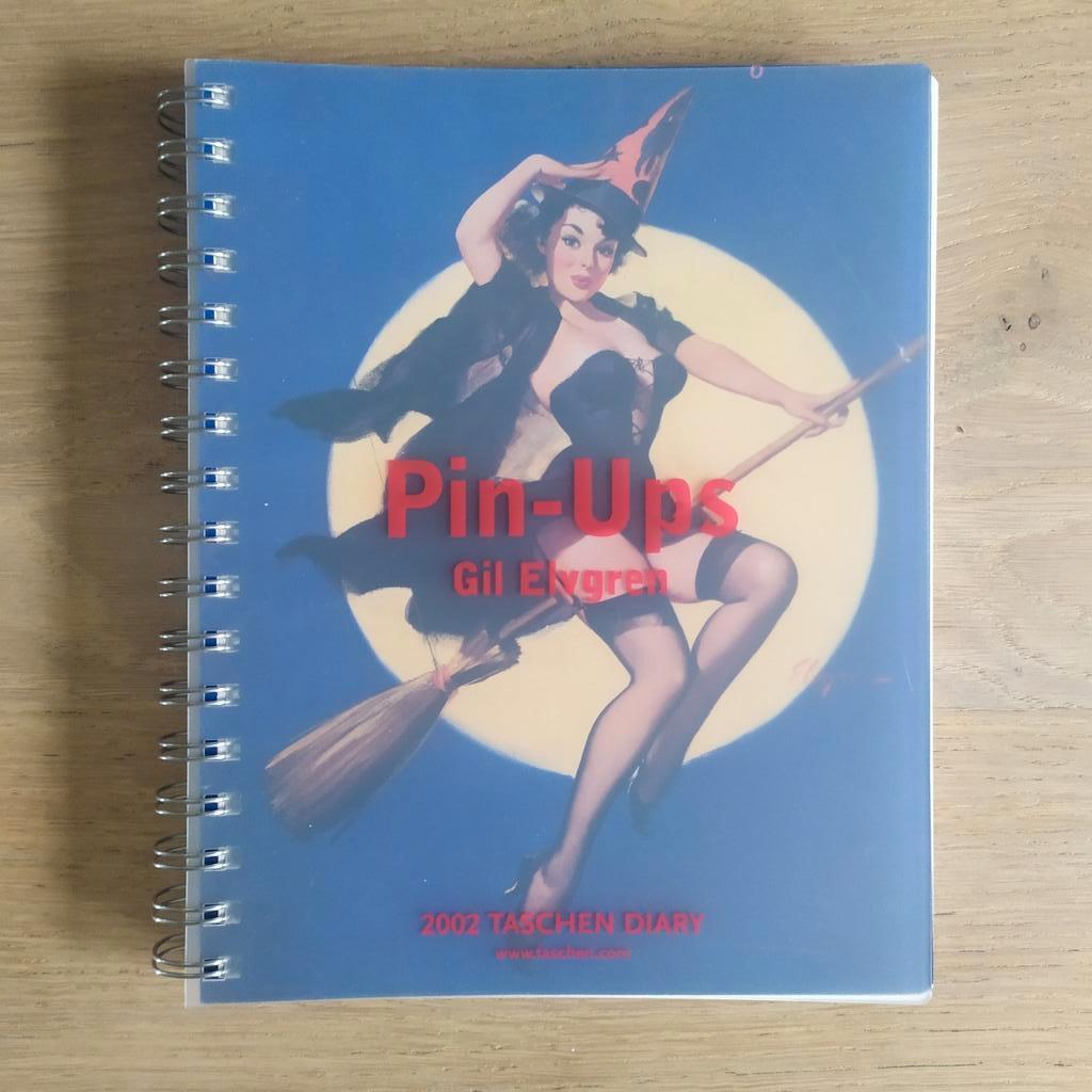 Pin-Ups Gil Elvgren 2002 Taschen Diary TBE, Ophalen of Verzenden, Zo goed als nieuw, Schilder- en Tekenkunst