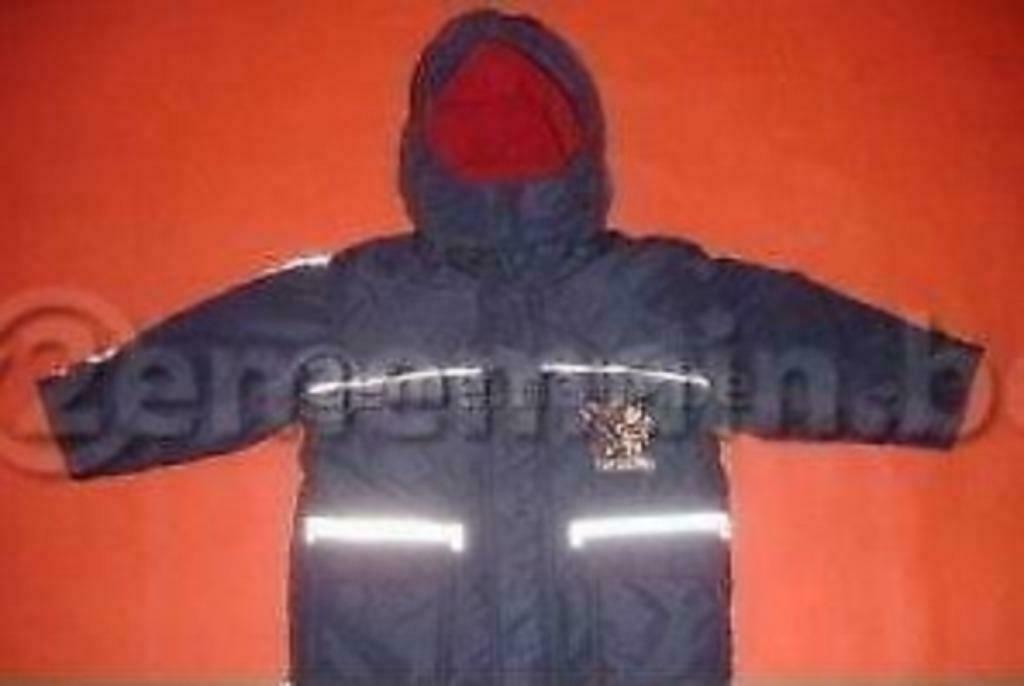 Blouson Winnie 3 en 1 T : 104 - 4 ans -, Enfants & Bébés, Enlèvement ou Envoi, Comme neuf, Garçon, Manteau