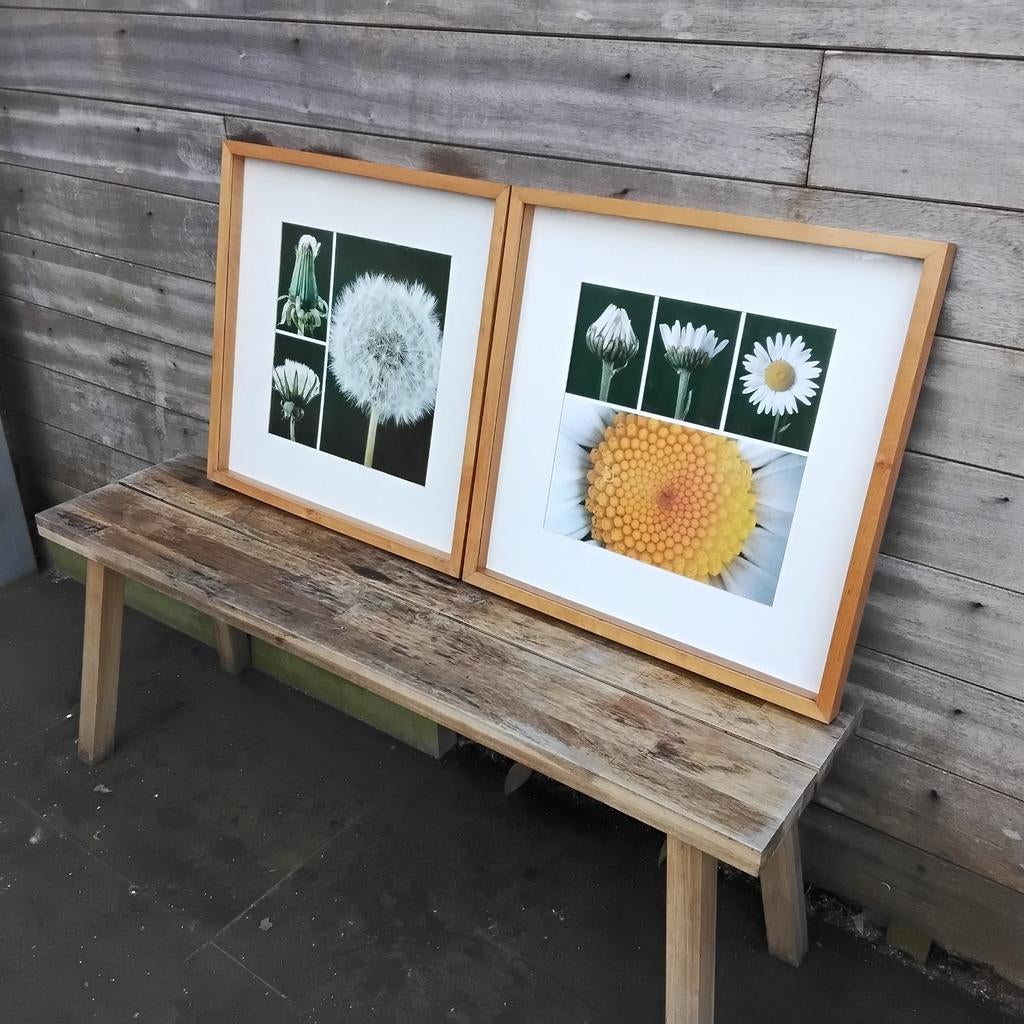 2 cadres de Ikea avec des fleur, Enlèvement ou Envoi, Comme neuf