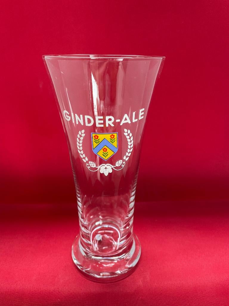 Verre à bière Ginder-Ale Martinas, Collections, Enlèvement ou Envoi, Utilisé, Verre à bière