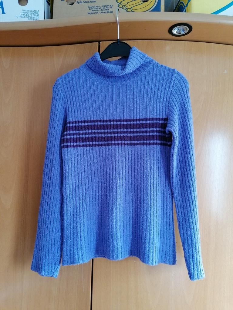 Colltruitje, Paars, Ophalen of Verzenden, Gedragen, Maat 38/40 (M)
