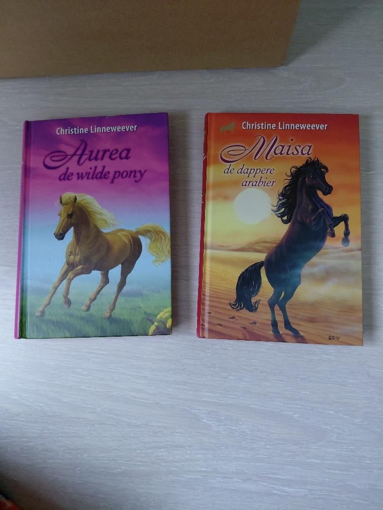 Gouden paarden reeks boeken, Ophalen of Verzenden, Gelezen, Fictie