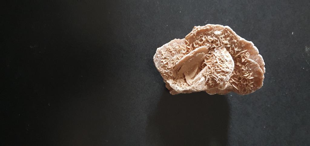 Zandroos uit de Sahara-woestijn, Verzamelen, Ophalen of Verzenden