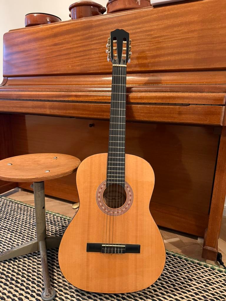 Acoustische gitaar merk Burswood, Musique & Instruments, Enlèvement, Utilisé, Guitare classique ou espagnole, 12 cordes