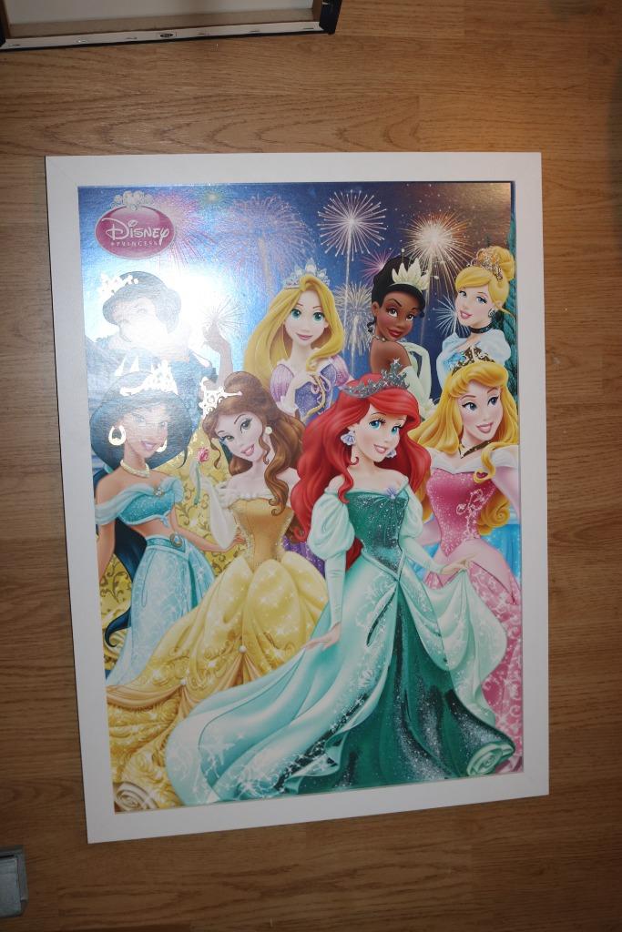 kader Disney prinsessen, Ophalen, Zo goed als nieuw, Wanddecoratie