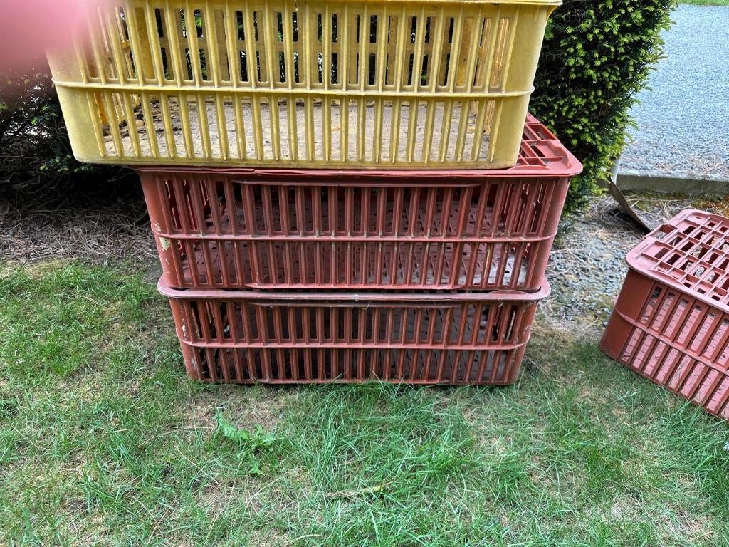 bak voor kippen of konijnen te transporteren, Dieren en Toebehoren, Ophalen, Gebruikt, Kunststof, Vogelkooi