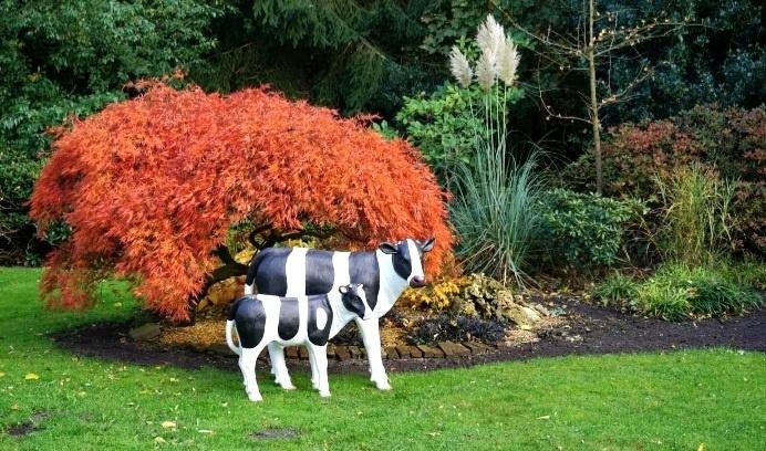 Koe beeld, polyester geit, varken, lammetje, kalf beeld, Tuin en Terras, Ophalen, Nieuw, Kunststof, Dierenbeeld