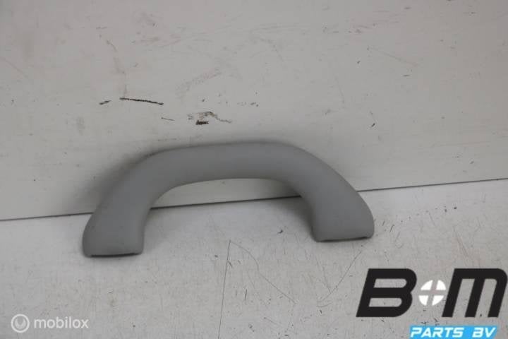 Handgreep in hemel LV of RV VW Golf Plus 6 1K0857607M, Gebruikt