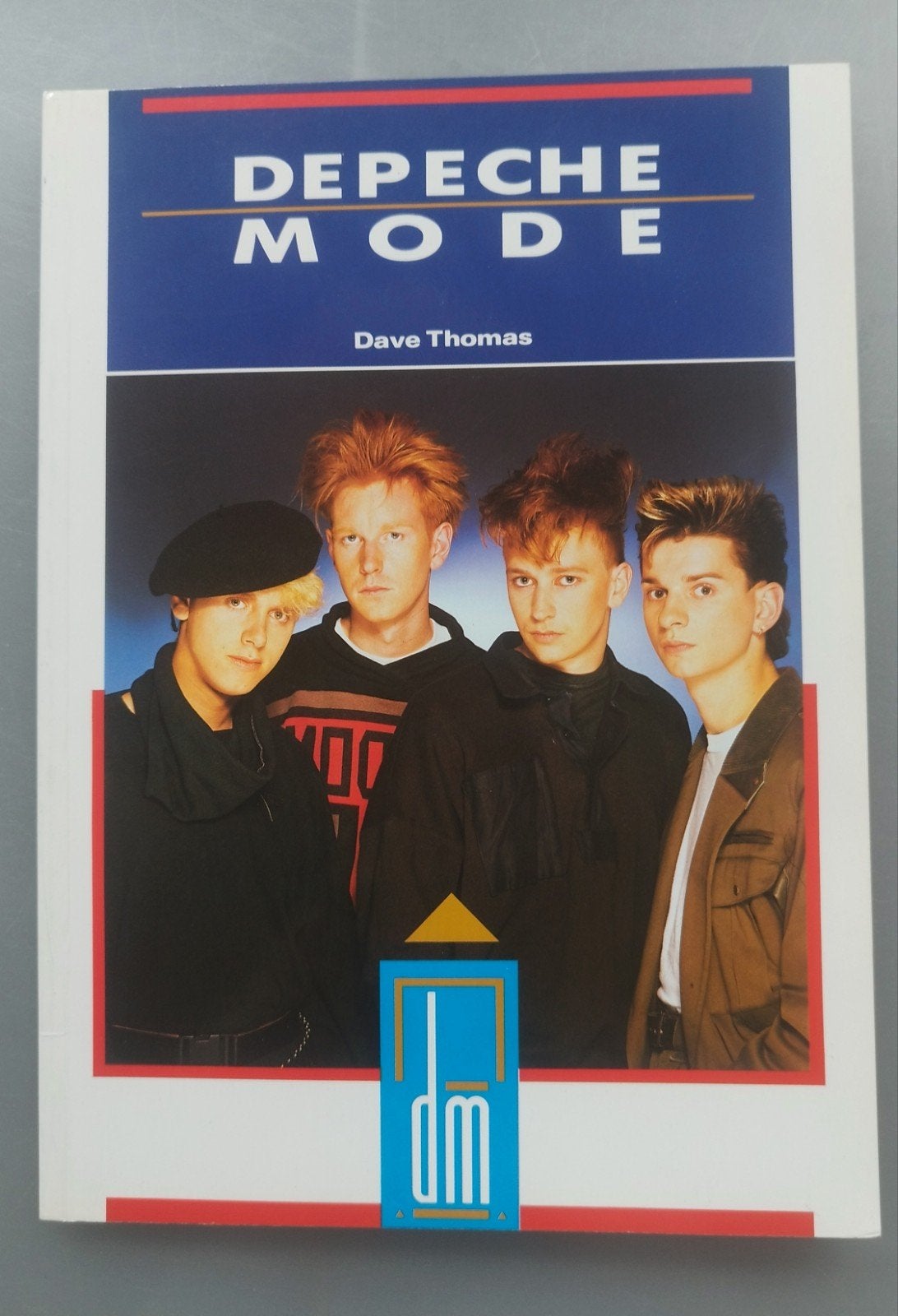 Depeche Mode bio, Livres, Musique, Enlèvement ou Envoi, Comme neuf, Artiste