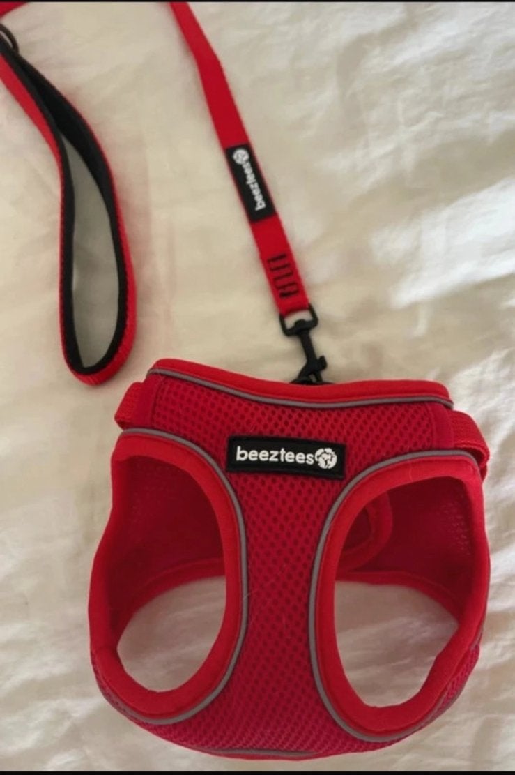 Leiband beeztees, Ophalen, Nieuw, Hondenriem