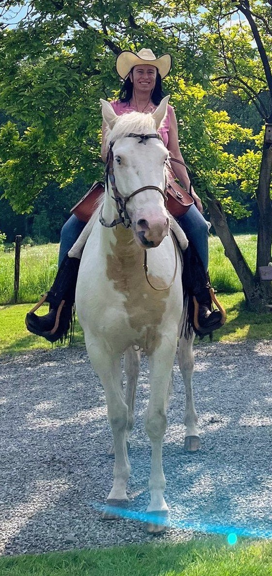 mooie 5 jarige witte - palomino ruin, Animaux & Accessoires, Avec puce électronique, Hongre, Moins de 160 cm, Cheval de récréation