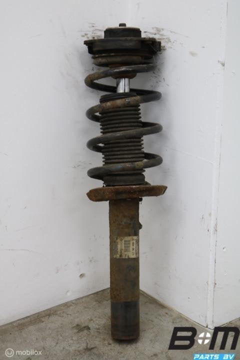 Schokdemper kan L en R voorzijde Audi A3 8P 1T0413031EQ, Utilisé