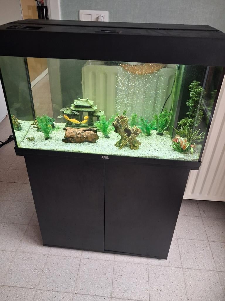 Aquarium met toebehoren en kastje, Dieren en Toebehoren, Ophalen